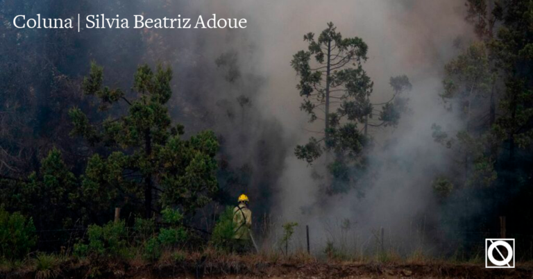 Incêndios no Puelmapu