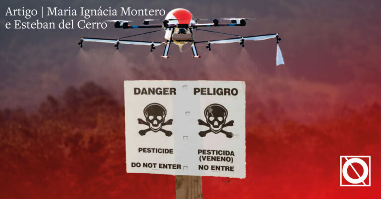 Guyraroka: nova retomada expõe o uso de agrotóxicos como arma de guerra e as redes do latifúndio corporativo